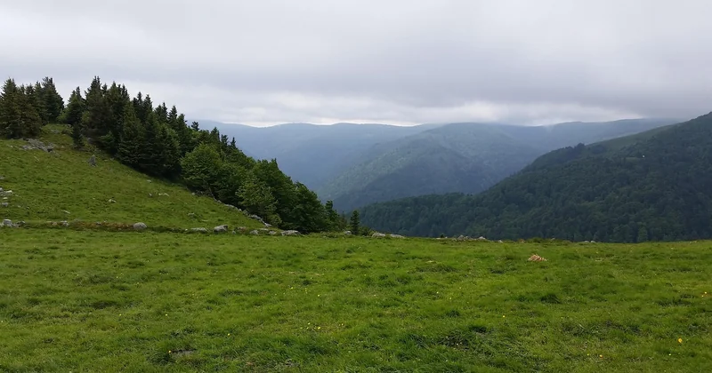Vosges et Chartreuse : des options plus douces, parfaites pour débuter
