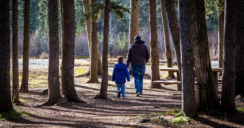 Les secteurs qui marchent vraiment, par âge et par envie